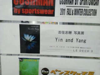 yin&yang001.jpg